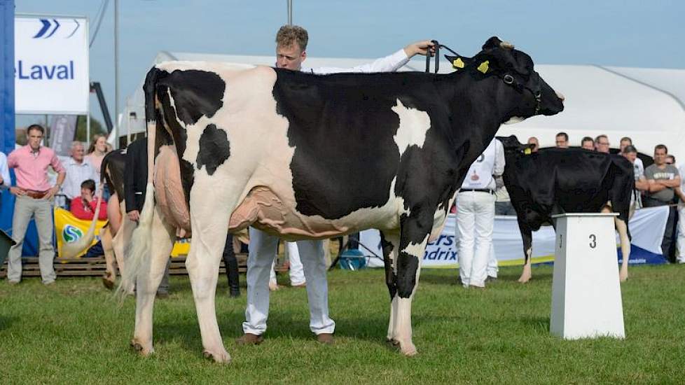 Een vijfde plaats in de zwartbonte middenklasse was er voor Bons-Holsteins Aaltje 98 (Talent x Terrason) van Nico Bons.