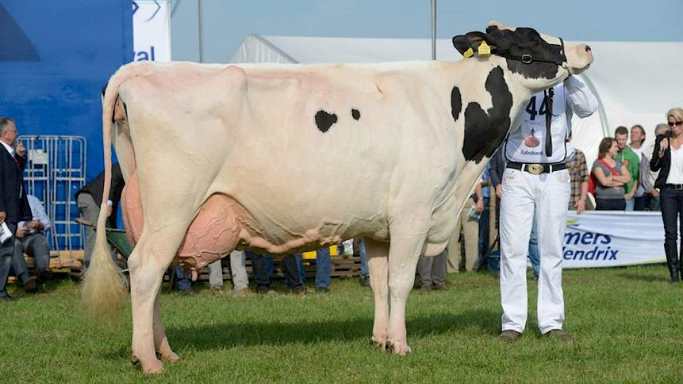 Met Lijsje 179 (Tiamo x Starleader) had de firma De Groot echter nog een ijzer in het vuur, ze eindigde als derde op tal.