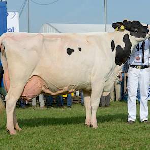 Met Lijsje 179 (Tiamo x Starleader) had de firma De Groot echter nog een ijzer in het vuur, ze eindigde als derde op tal.