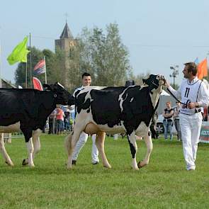 Het reservekampioenschap was er voor Geertje 567 (links op de foto, Windbrook x Zenith) van Teus van Dijk uit Giessenburg. Rechts kampioene Margriet 387 (Goldwyn x TKO) van de VOF de Bruin, eveneens uit Giessenburg.