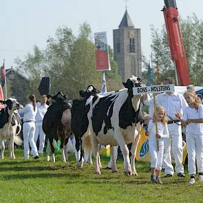 De bedrijfscollectie van Bons-Holsteins uit Ottoland maakte indruk tijdens de rondgang. Voorop seniorenkampioene Ella 158 (v. Mailing), daarachter middenklassekampioene Koba 191 (v. Jasper), dan reservekampioene van de middenklasse Ella 175 (v. Jasper) en