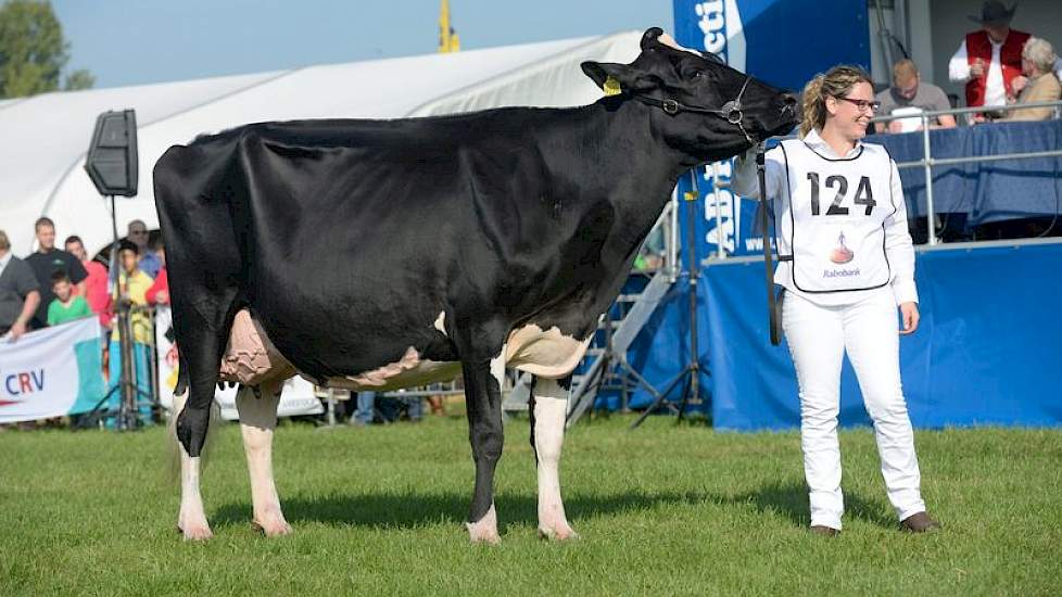 Halfzusje en heersend NRM-kampioene Bons-Holsteins Koba 191 (Jasper x Integrity) van wederom Bons greep het kampioenschap in de middenklasse.