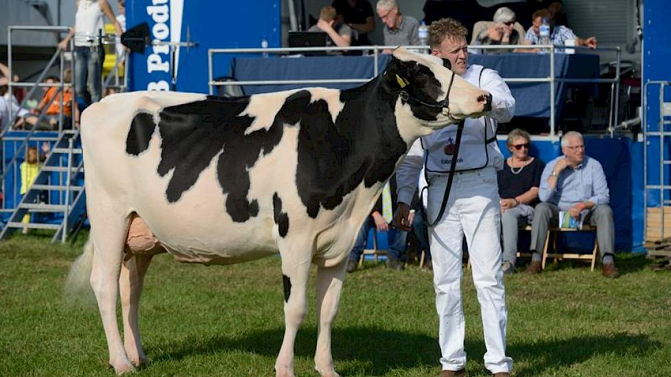 Vierde in de finale werd de op de dag af een jaar oudere vaars Bons-Holsteins Dikkie 177 (Sanchez x Starleader) van Nico Bons uit Ottoland.