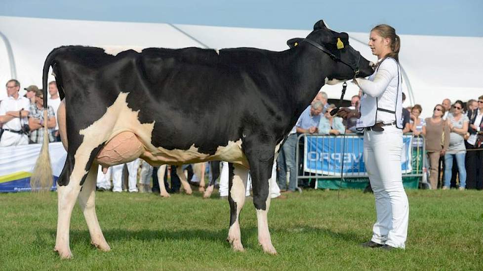 Vierde werd De Crob Rita 6685 (Aftershock x Goldwyn) van Henk Jan van Driel uit Hedel.