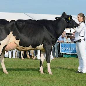 Vierde werd De Crob Rita 6685 (Aftershock x Goldwyn) van Henk Jan van Driel uit Hedel.