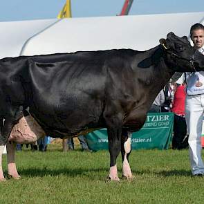 Het reservekampioenschap was er voor tien jaar oude, kersverse honderdtonner Wilhelmina 401 (James x Jolt).