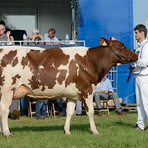 Reservekampioene werd Conny 234 (Fidelity x Bolex 173) van de combinatie Bakker/Zwijnenburg uit Ottoland.