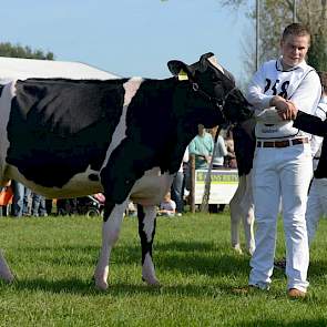 Op de fokveedag was er ook plek voor de jeugd, die met pinken deelnam. Het exterieur kampioenschap was er voor M.H. Daelynn 1 (Goldwyn x Mr. Sam) van Merwehoeve de Groot uit Herwijnen. Hendrik de Groot werd tevens uitgeroepen tot beste voorbrenger.