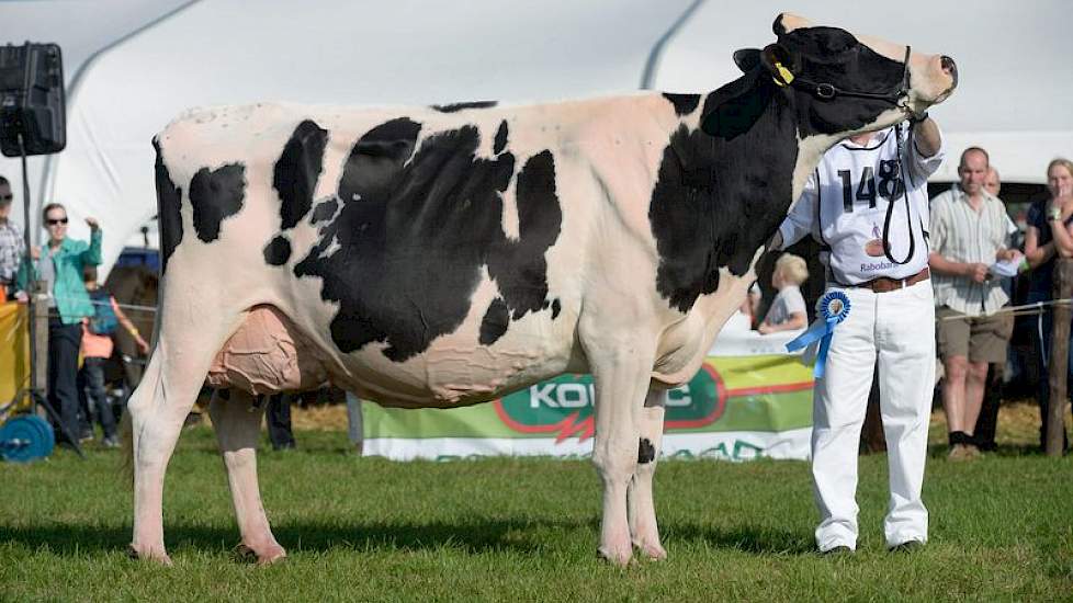 Het seniorenkampioenschap werd een prooi voor Bons-Holsteins Ella 158 (Mailing x  Bonatus) van Nico Bons.