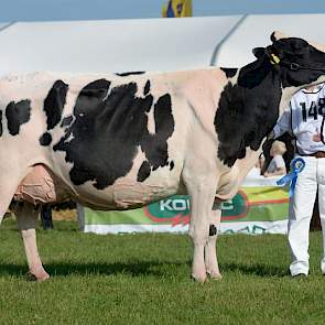 Het seniorenkampioenschap werd een prooi voor Bons-Holsteins Ella 158 (Mailing x  Bonatus) van Nico Bons.