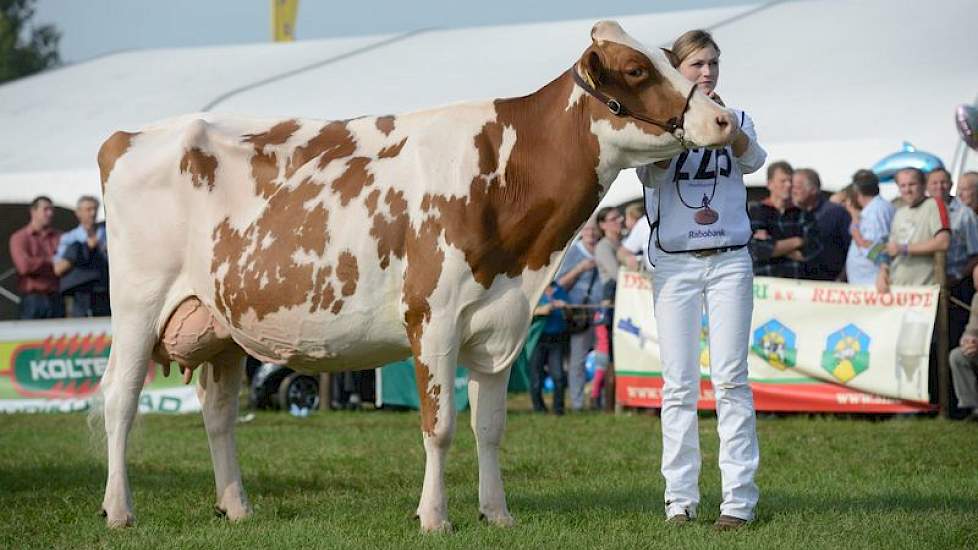 Het kampioenschap ging met Bons-Holsteins Aaltje 94 (Talent x Red Marker) naar stal Bons.