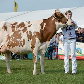 Het kampioenschap ging met Bons-Holsteins Aaltje 94 (Talent x Red Marker) naar stal Bons.