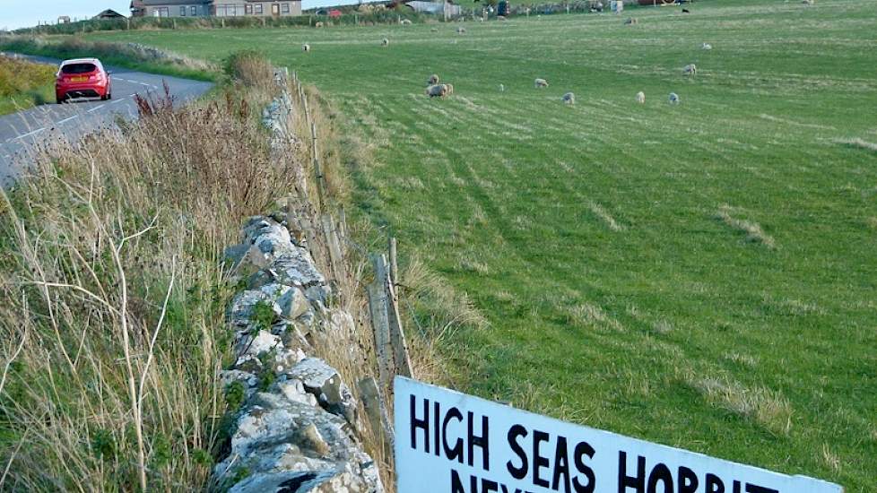 Het bedrijf van Matthews en Carole grenst aan de Noordzee. Het bedrijf ligt aan de doorgaande weg van Rosehearty naar New Aberdour. Een bord met daarop geschreven ‘High Sea Hobbits’ maakt duidelijk waar de bezoekers moeten zijn als ze hier de nacht doorbr