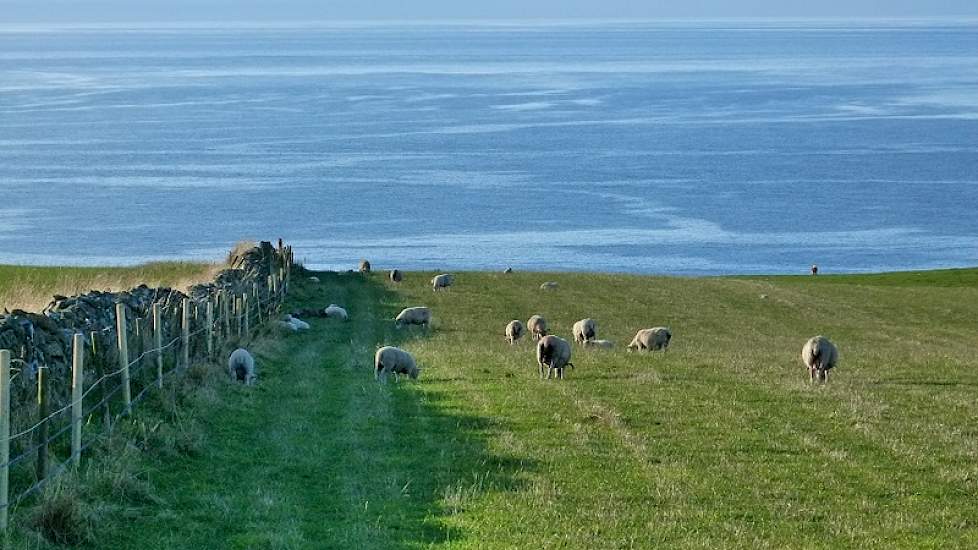 Het uitzicht over de Noordzee is indrukwekkend. Volgens Matthews en Carole is het vanaf hun plek mogelijk om poollicht te zien. Ze zitten ter hoogte van het zuiden van Noorwegen. Op de langste dag van het jaar is het een half uur donker.