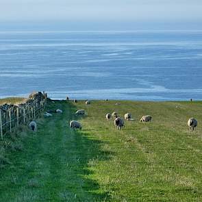 Het uitzicht over de Noordzee is indrukwekkend. Volgens Matthews en Carole is het vanaf hun plek mogelijk om poollicht te zien. Ze zitten ter hoogte van het zuiden van Noorwegen. Op de langste dag van het jaar is het een half uur donker.