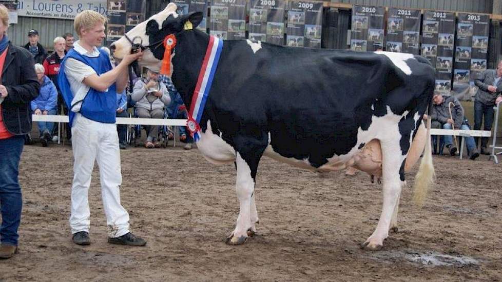 Kampioen seniorenklasse Lucie (v. Blaizer) van de familie Altenburg uit Koufurderrige. De koe is gefokt door Jan Aalberts uit Berlikum. Na de bedrijfsbeëindiging van Aalberts heeft hij haar nog twee jaar gemolken. Daarna is de koe verkocht aan de familie