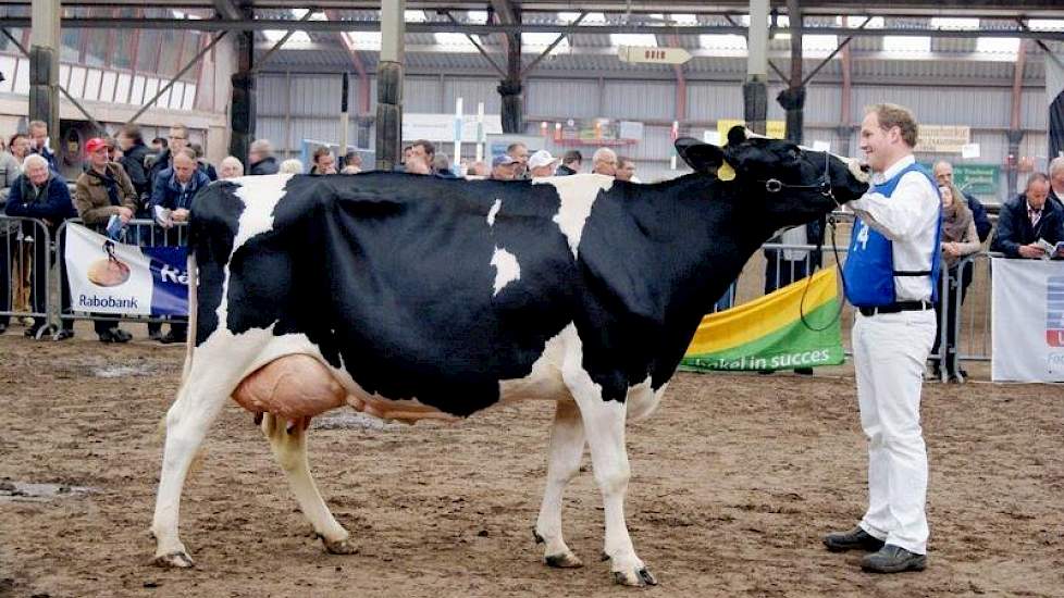 Kobus Eppinga uit Sondel won met Sondeler Edelweiss 8660 (v. Jannsen) het middenklasse kampioenschap.