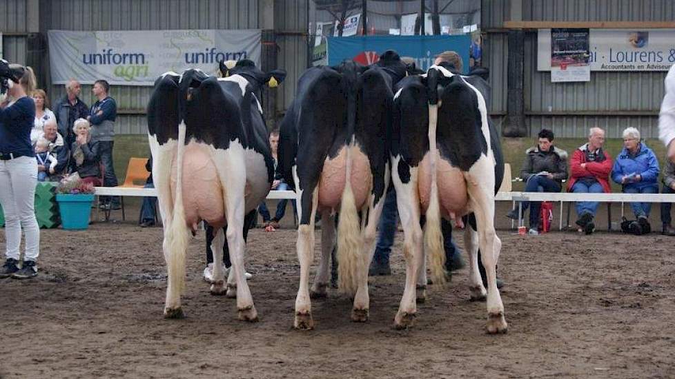 De winnende bedrijfscollectie van de familie Jorna uit Gaast.