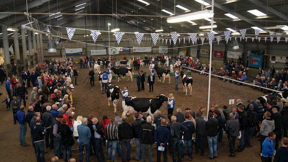 De tiende editie van de Veekeuring Fryslân werd druk bezocht.