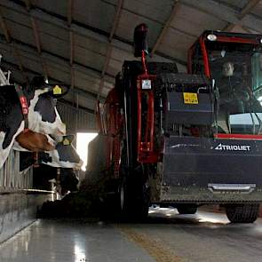 Het lossen van het voer met de Triotrac.