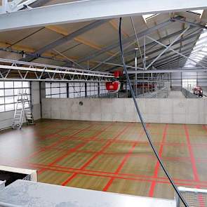 De koeien worden gevoerd met een Lely Vector voerrobot. Opvallend hierbij is dat de vloer van de voerkeuken volledig is gecoated. Het voer blijft zo fris. We zijn anders bang dat de vloer op een gegeven moment wordt aangetast door de zuren uit de maïs. Hi