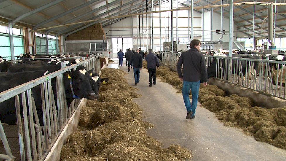 De koeien zitten sinds 2013 in een nieuwe stal. Withaar zag vrijwel geen verschil in productie nadat hij de maïs is gaan voeren. „Met maar 30 procent maïsaandeel verwachte ik ook niet een grote productiestijging.”