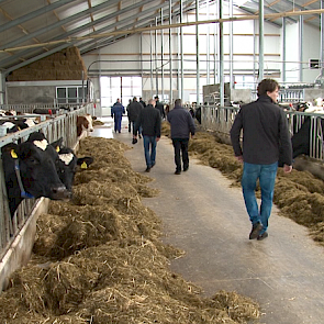 De koeien zitten sinds 2013 in een nieuwe stal. Withaar zag vrijwel geen verschil in productie nadat hij de maïs is gaan voeren. „Met maar 30 procent maïsaandeel verwachte ik ook niet een grote productiestijging.”