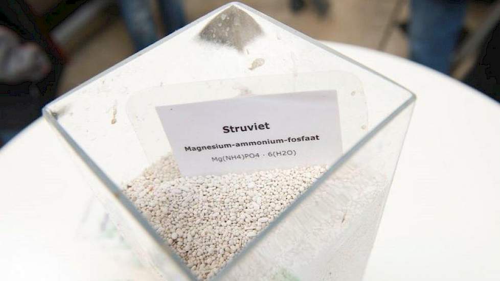 Struviet is een neerslag van fosfaat, ammonium en magnesium in de vorm van een droge korrel. Het is een vrij langzaam werkende meststof. Daarom verwerkt het melkveeproefbedrijf niet alle mest tot struviet, maar gebruiken ze ook het onbewerkte digestaat vo