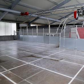 De koeien worden gevoerd met een Lely Vector automatisch voersysteem. De ondernemers wilden geen aparte bijgebouwen. Daarom is de voerkeuken in de ligboxenstal gesitueerd. Op dit moment voert Reinders met een Weelink voerhek. Om meer rendement uit het ruw