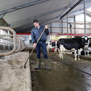 De stal biedt ruimte aan 150 melkkoeien. Voor de dichte vloer is ter plekke beton gestort. Als boxbedekking koos Smeitink voor zand. Een product dat volgens hem de infectiedruk verlaagd, beter dan andere boxvullingen. ‘Ook liggen de koeien prettig en staa