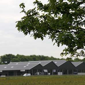 Het biologische bedrijf van Sprangers had op de huidige locatie geen ruimte om te groeien. Zeven jaar geleden ontstonden de eerste plannen voor nieuwbouw op een andere locatie. Het eerste traject dat Sprangers begon strandde. Sjaak Sprangers: „Doordat men