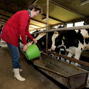 Als het aan Van Noord ligt, doet hij een volgende keer weer mee met de uitwisseling. „Maar eerst ga ik op bezoek bij het ministerie om te kijken hoe daar de beleidsmedewerkers te werk gaan.” Dit bezoek staat voor september gepland.