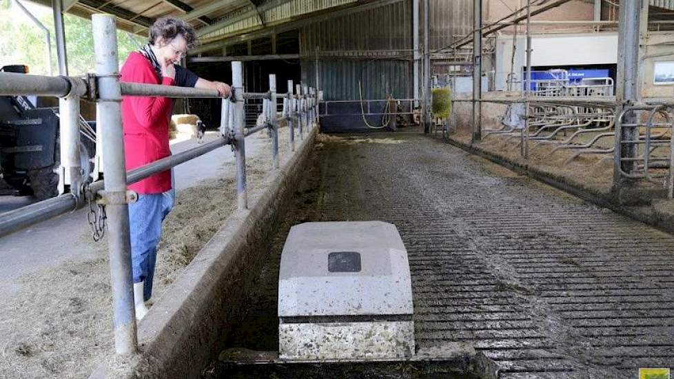 De mestrobot was iets nieuws voor Delen, net als de combinatie tussen het robotmelken en weidegang. Delen: „Wat ik ook mooi vond, was dat duurzaamheid en een zorgvuldige bedrijfsvoering een paar extra centen per liter melk oplevert.”