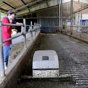 De mestrobot was iets nieuws voor Delen, net als de combinatie tussen het robotmelken en weidegang. Delen: „Wat ik ook mooi vond, was dat duurzaamheid en een zorgvuldige bedrijfsvoering een paar extra centen per liter melk oplevert.”