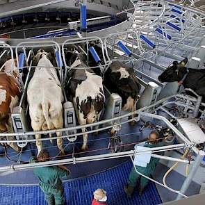 De broers melken hun huidige 215 koeien sinds maandag 8 juni in de nieuwe 40-stands buitenmelker van DeLaval.