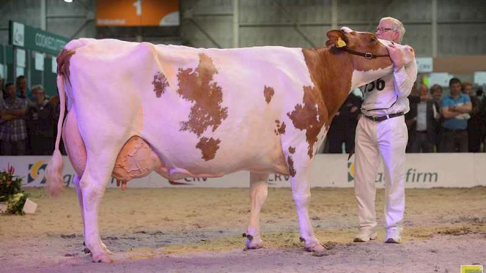 De hoofdprijs ging echter naar Gasthuis Konvoy Suzanne (Konvoy x Stadel) van de familie Van Buuren uit Leerbroek.