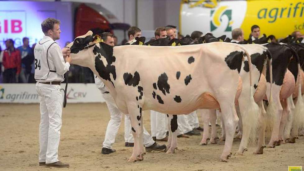 De fraaiste vaars was Bons-Holsteins Aaltje 111 (Windbrook x Talent) van Nico Bons uit Ottoland.