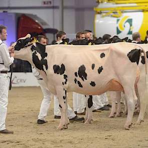 De fraaiste vaars was Bons-Holsteins Aaltje 111 (Windbrook x Talent) van Nico Bons uit Ottoland.