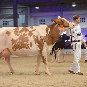 Het reservekampioenschap ging naar Bons-Holsteins Aaltje 94 (Talent x Red Marker) van wederom Nico Bons. Aaltje 94 is tevens de moeder van de zwartbonte vaarzenkampioene Aaltje 111 (v. Windbrook).