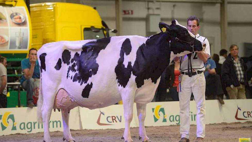 Het zwartbonte seniorenkampioenschap ging echter naar Geertje 466 (Allen x Arpagone) van Teus van Dijk uit Giessenburg.