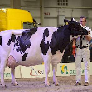 Het zwartbonte seniorenkampioenschap ging echter naar Geertje 466 (Allen x Arpagone) van Teus van Dijk uit Giessenburg.