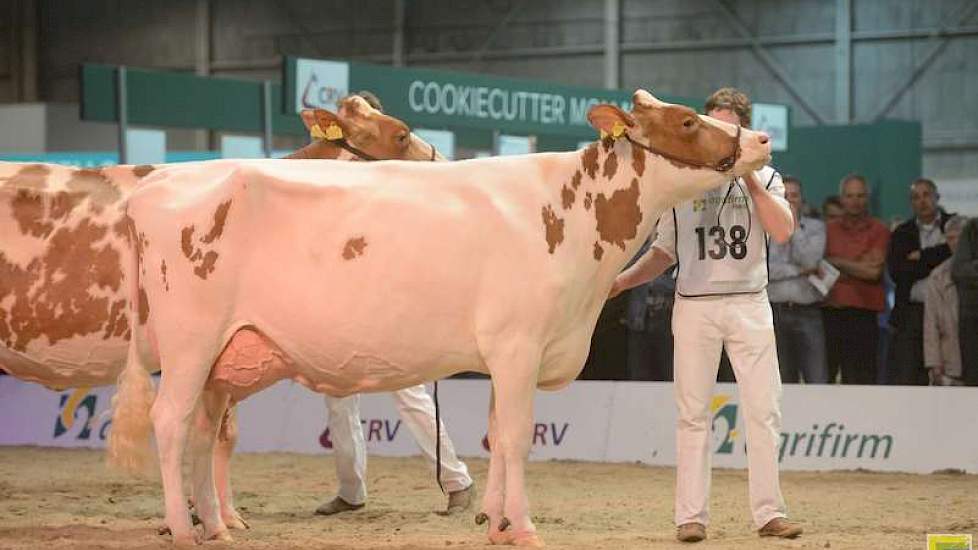 Het kampioenschap was er voor Jipsing Bontje 40 (Lucrative x Fabian) van andermaal de familie Engelen uit Grashoek.