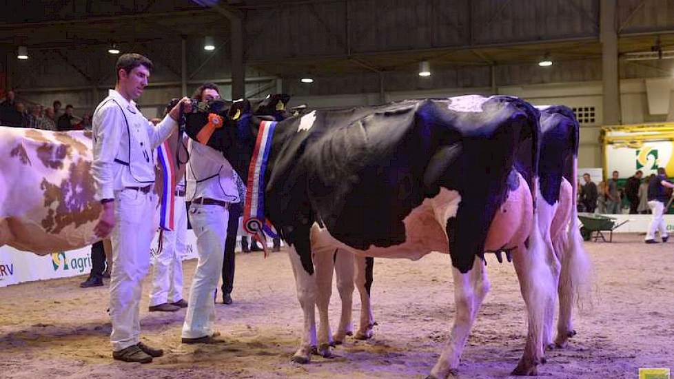 Ook het reservekampioenschap in de zwartbonte middenklasse ging naar stal Bons, met Bons-Holsteins Koba 202 (Jasper x Integrity), die voor Willem’s Hoeve Rita 670 (Cricket x Goldwyn) van De Jong uit Buren eindigde.