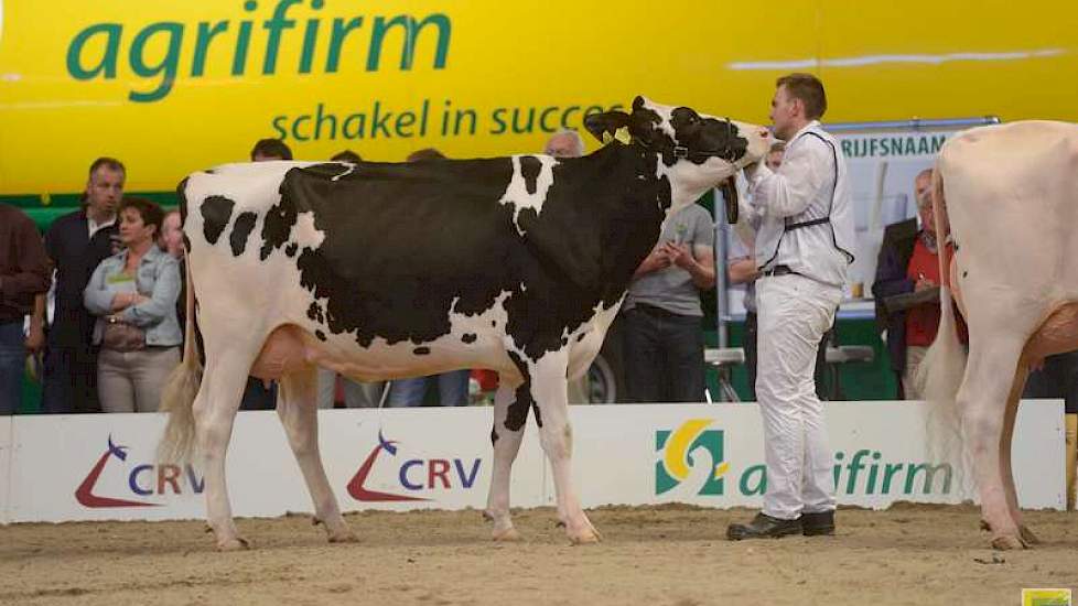 Holec Redrose Jobra (Braxton x Jotan Red) van de familie Kuijer uit Soest kreeg een eervolle vermelding bij de zwartbonte vaarzen.