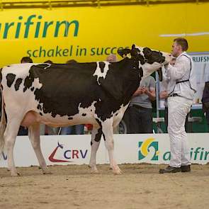 Holec Redrose Jobra (Braxton x Jotan Red) van de familie Kuijer uit Soest kreeg een eervolle vermelding bij de zwartbonte vaarzen.