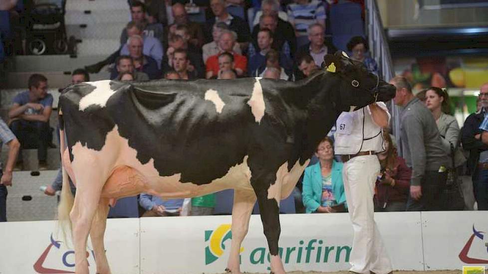 Ondanks dat hij naar eigen zeggen zijn tweede garnituur mee had – de toppers van de stal worden klaargemaakt voor de landelijke en Europese confrontaties – ging ook het kampioenschap van de zwartbonte middenklasse naar stal Bons, namelijk naar Bons-Holste