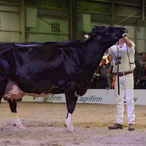 Op de foto de reservekampioene bij de zwartbonte senioren, De Rith Tetje 204 (Zesty x Shottle) van Adrion van Beek uit Breda, die voor W H Jenny (Goldwyn x Lheros) van de familie Van Loenhout uit Prinsenbeek eindigde.