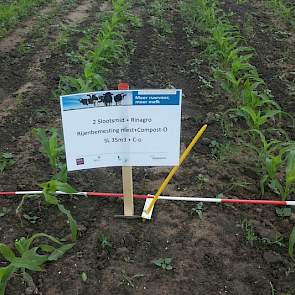 Slootsmid had een aantal proefvelden aangelegd met drijfmest in rij en met verschillende toevoegmiddelen. Bij het demoveld op de foto is Agrimestmix van Rinagro aan de mest toegevoegd. Met dit toevoegmiddel komt de gebonden ammonium stikstof voor het gewa