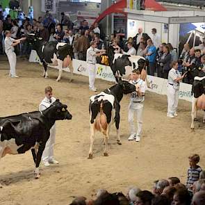 De dochters van Delta Atlantic (Ramos x O Man).