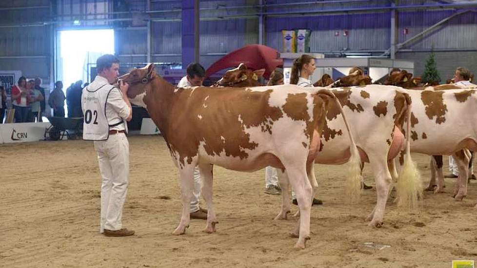 De 1A van de jongste rubriek roodbonte vaarzen was Grashoek Silke 162 (Acme x Spiderman) van de gebroeders Engelen uit Grashoek, ze zou tevens een eervolle vermelding krijgen.